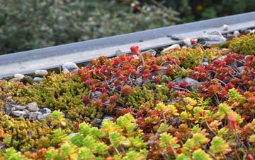 the cost of Cow Roast green roof installation
