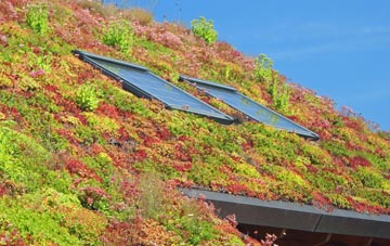 Cow Roast living roof systems